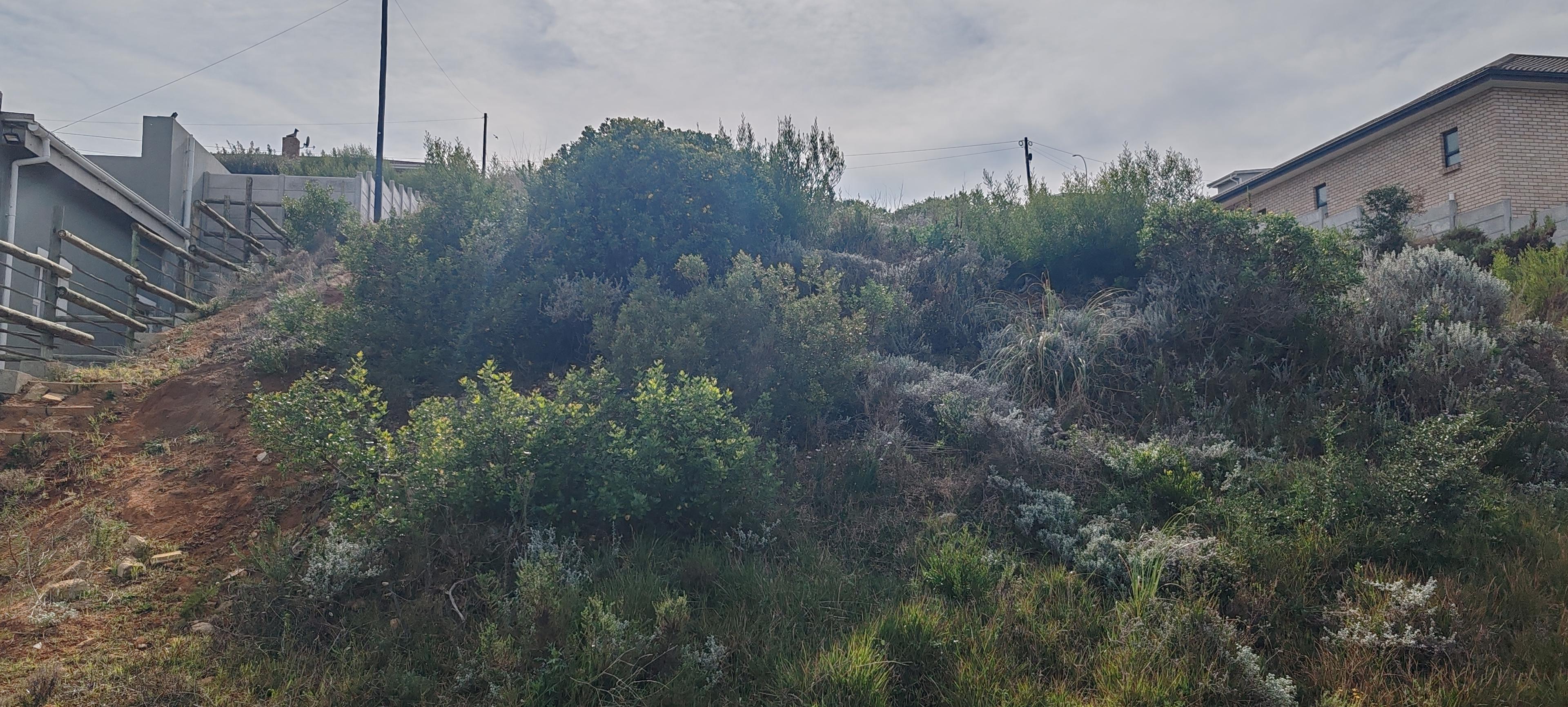 Image 5 of 6