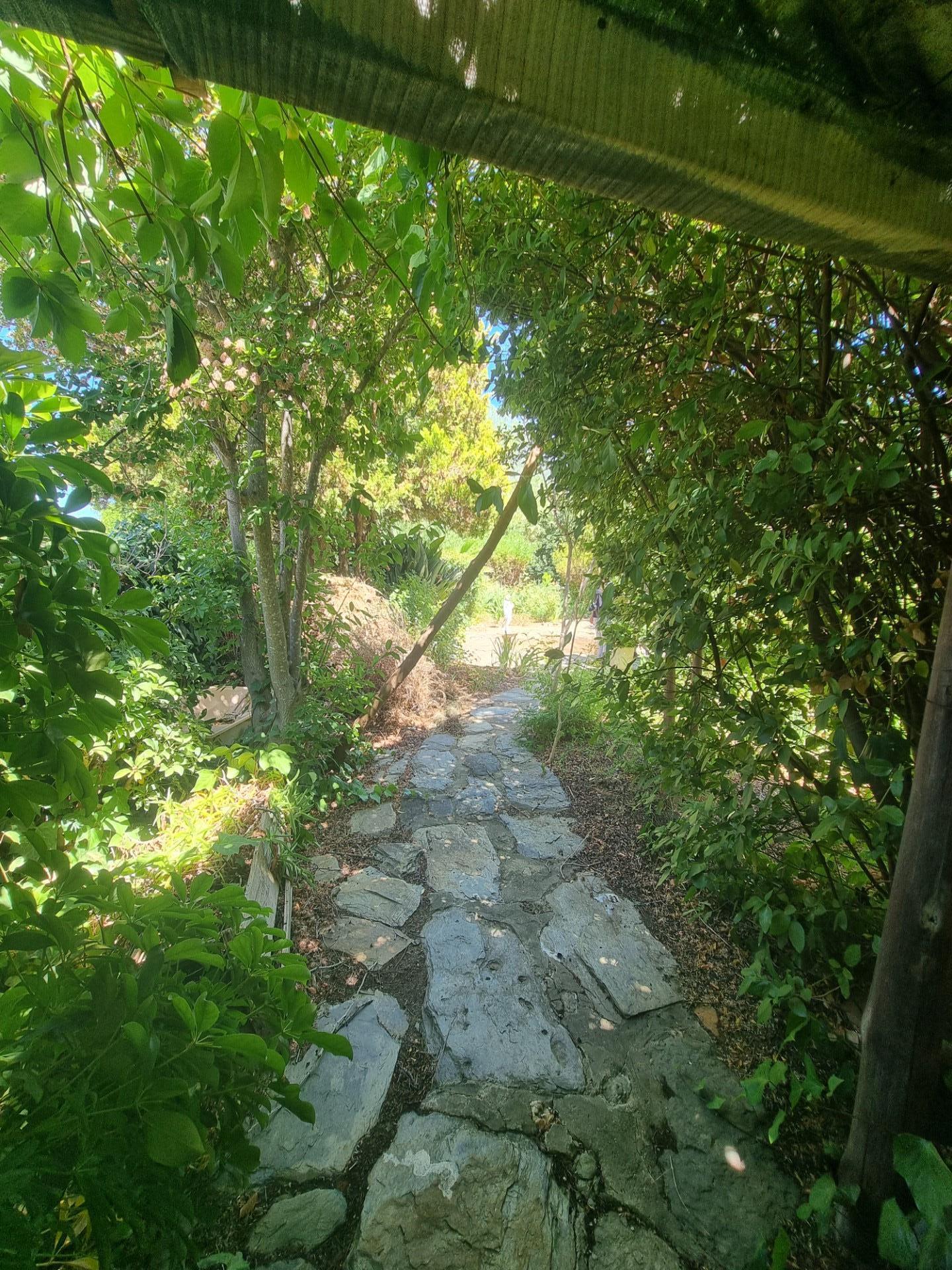 Image 29