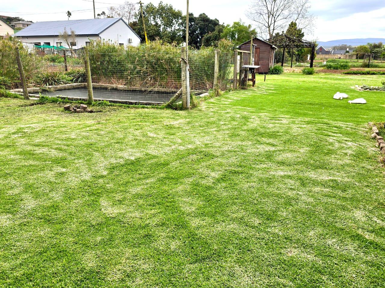 Image 5 of 6