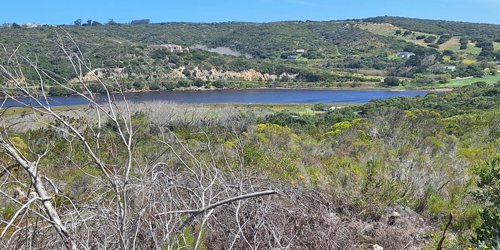 Image 4 of 6