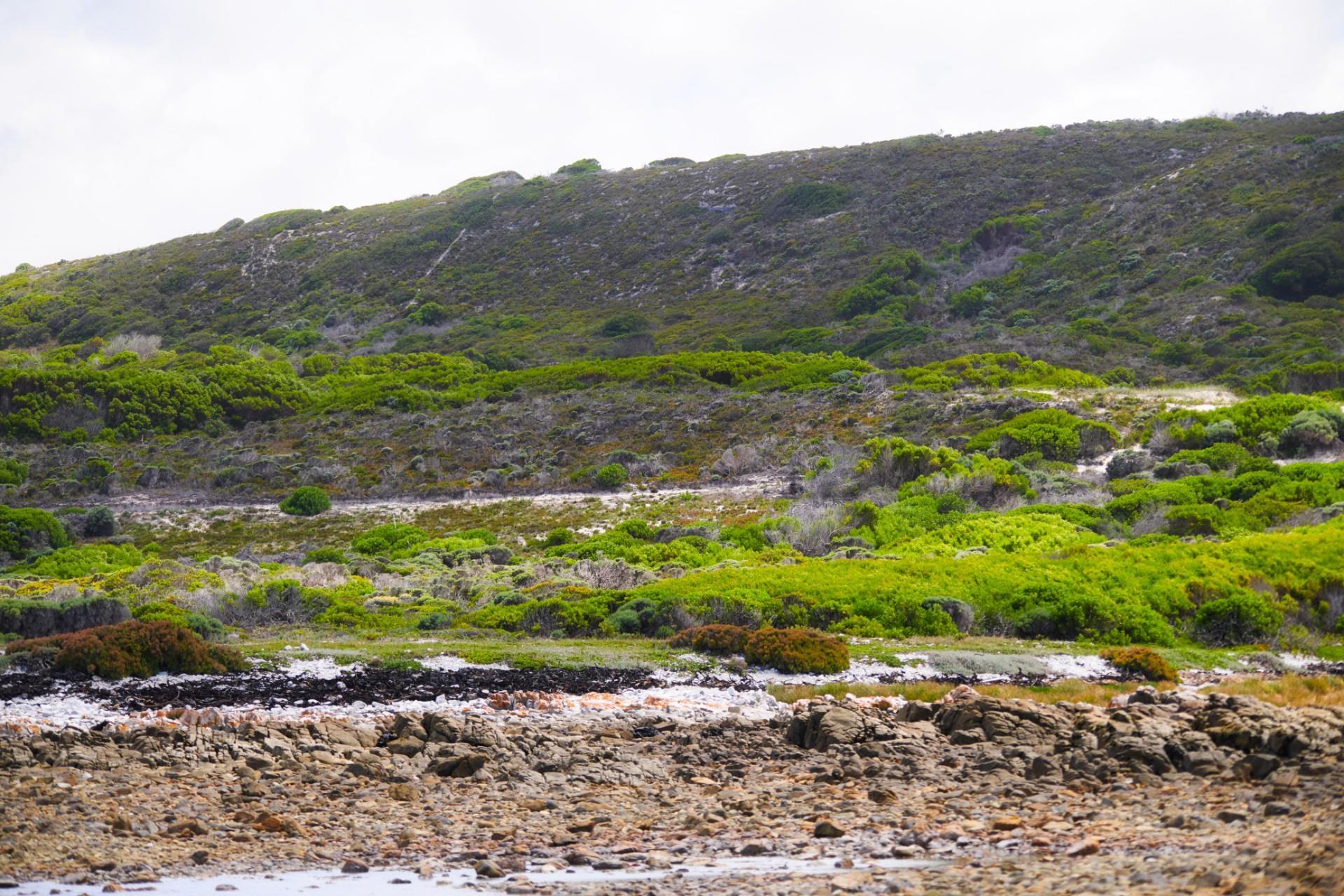 Image 14