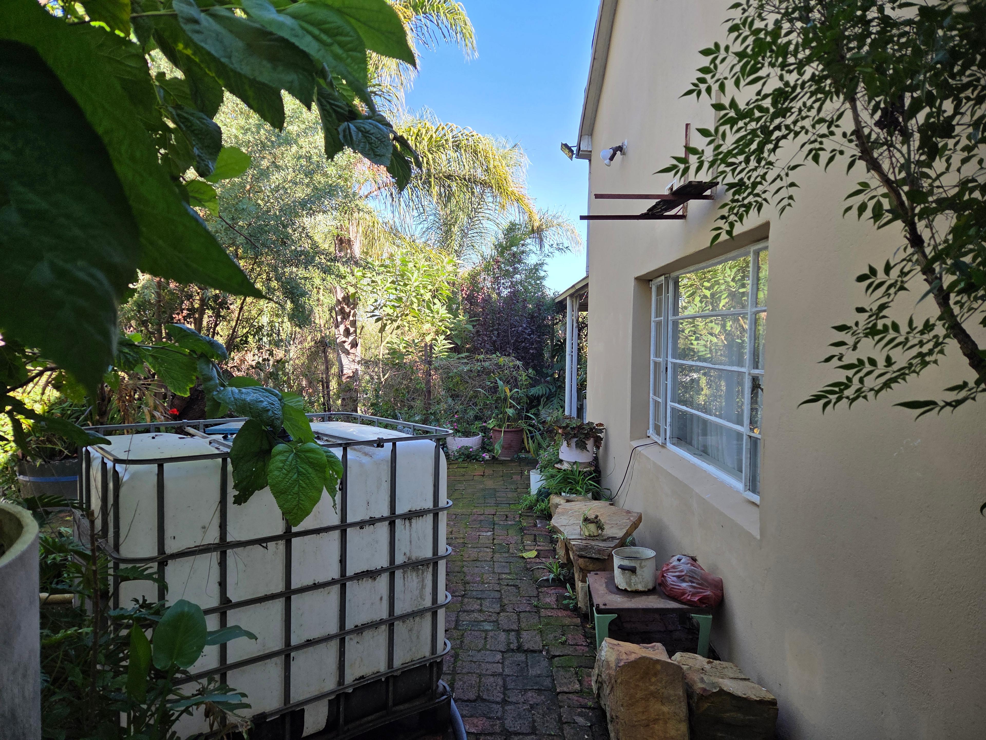 Image 33