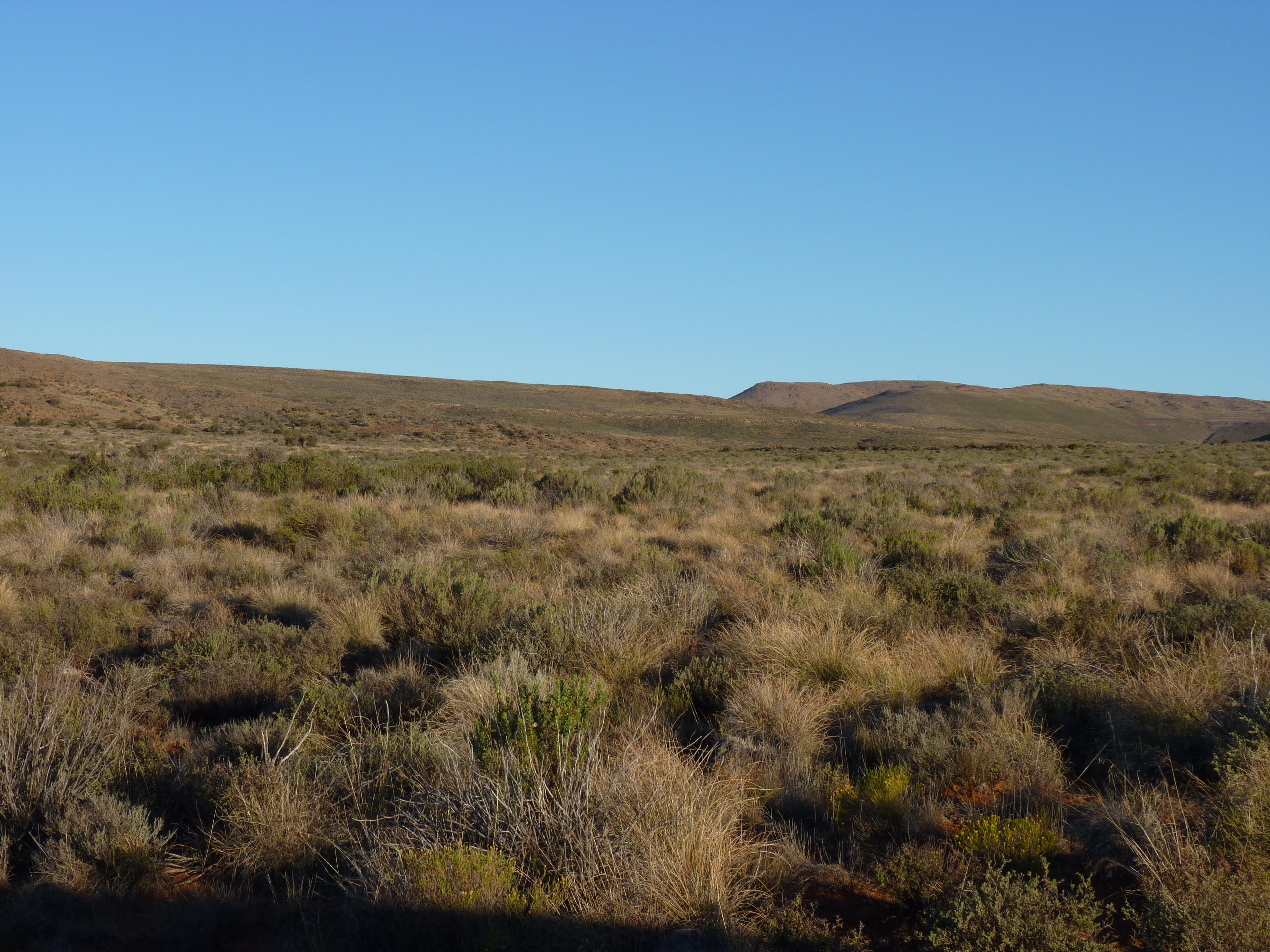 Image 63