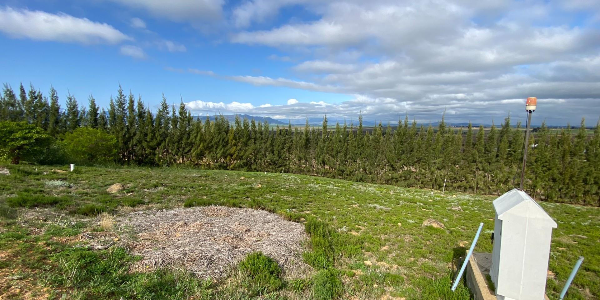 Image 4 of 6