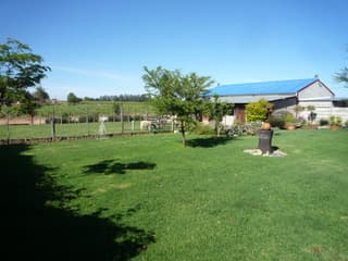 Image 5 of 6