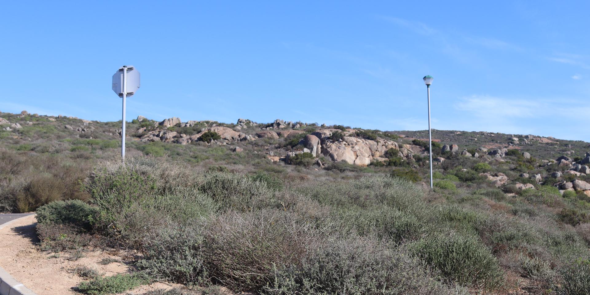 Image 5 of 6