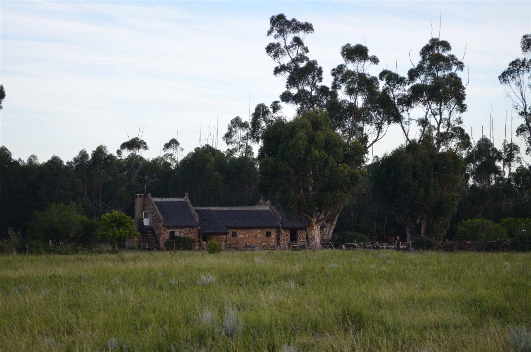 Image 14