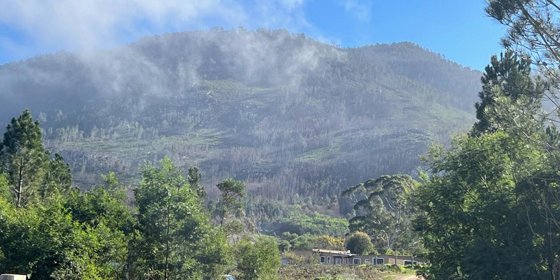 Image 4 of 6