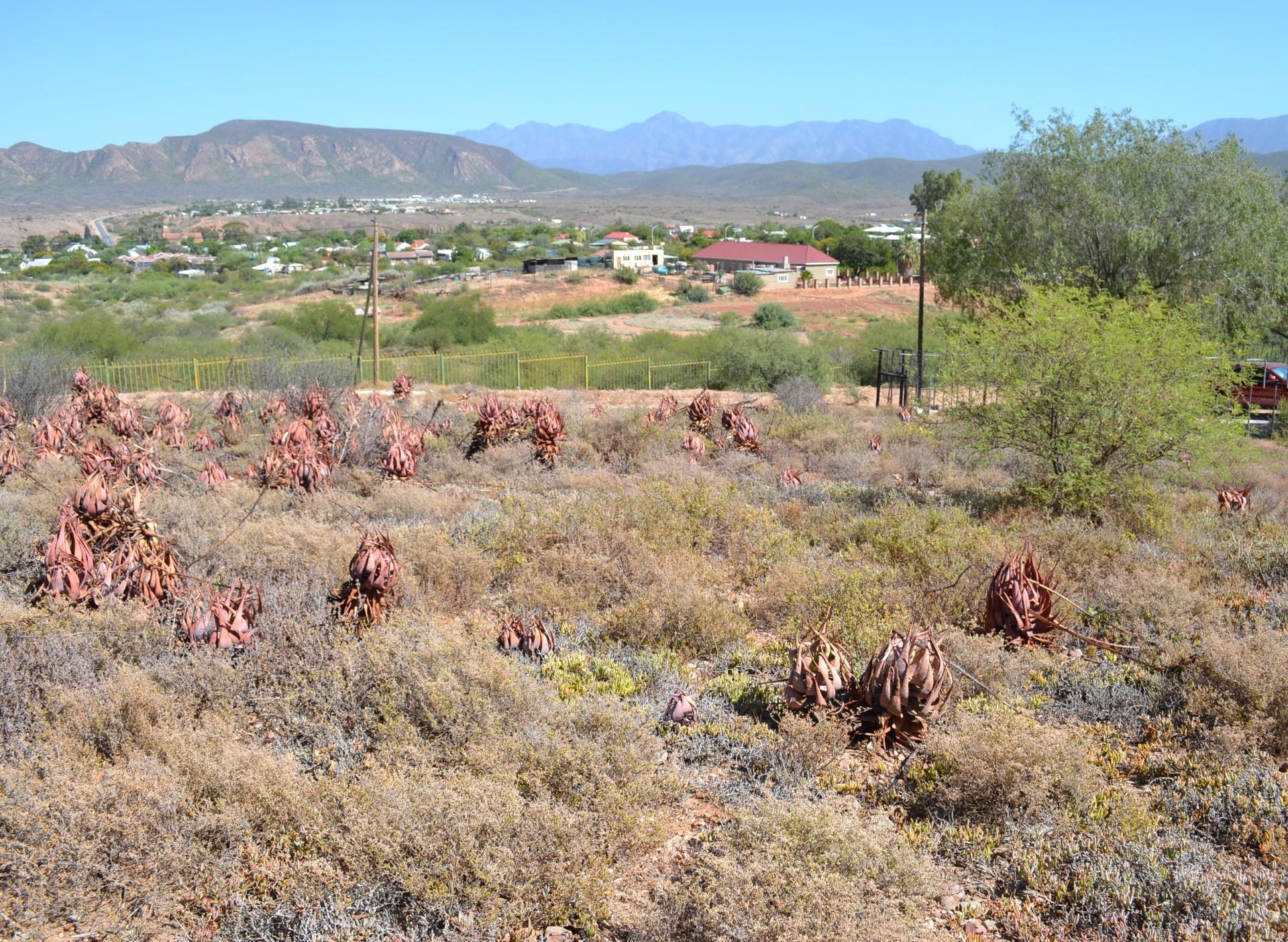Image 13