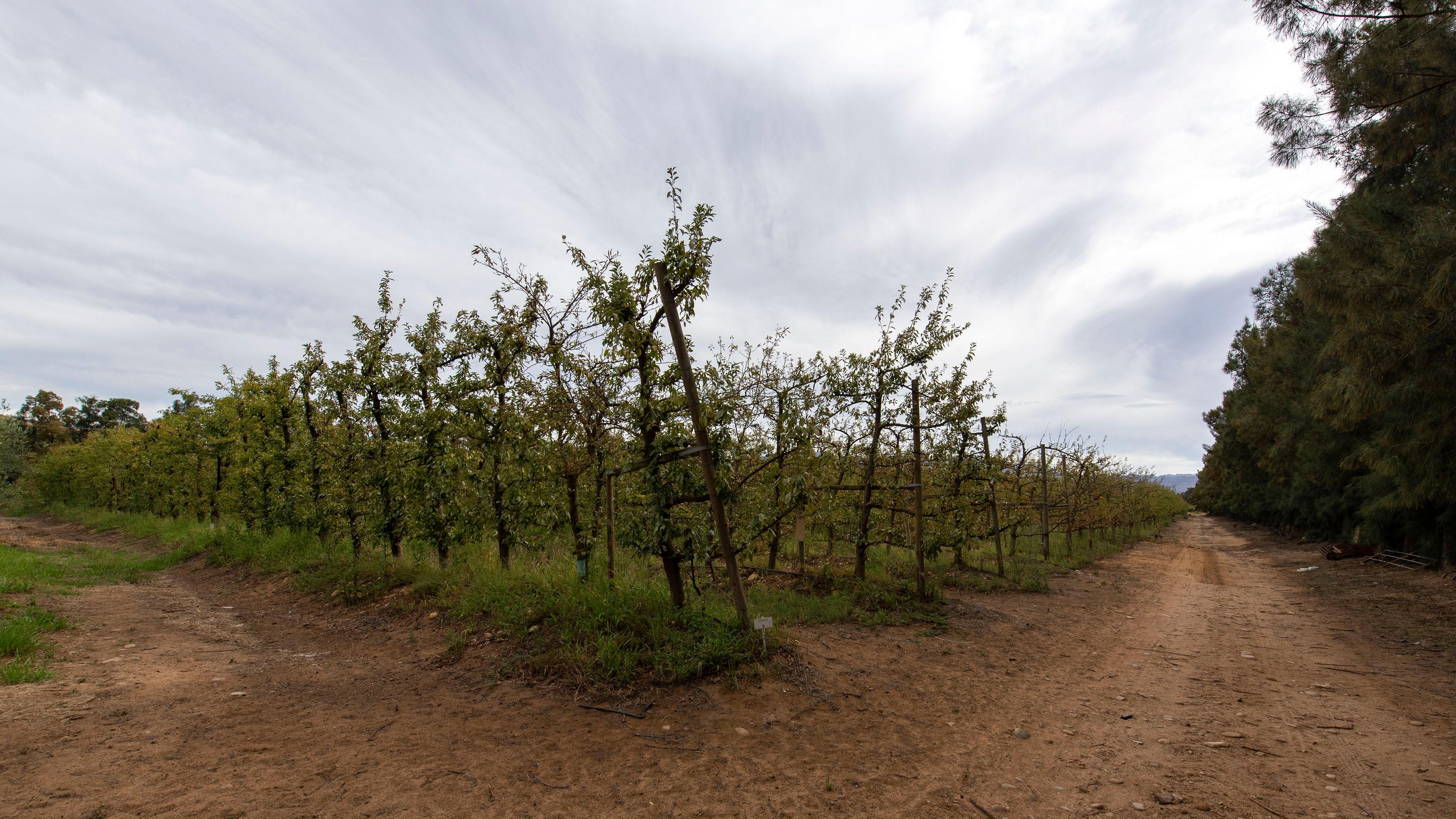 Image 23