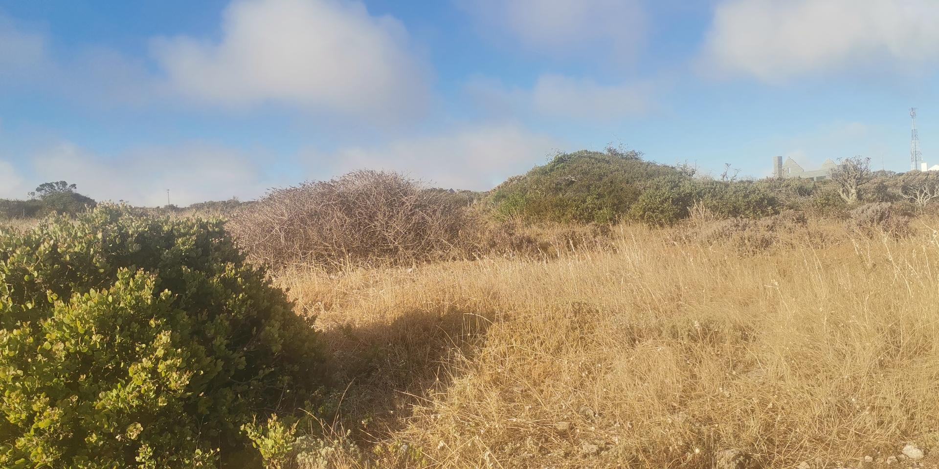 Image 3 of 6