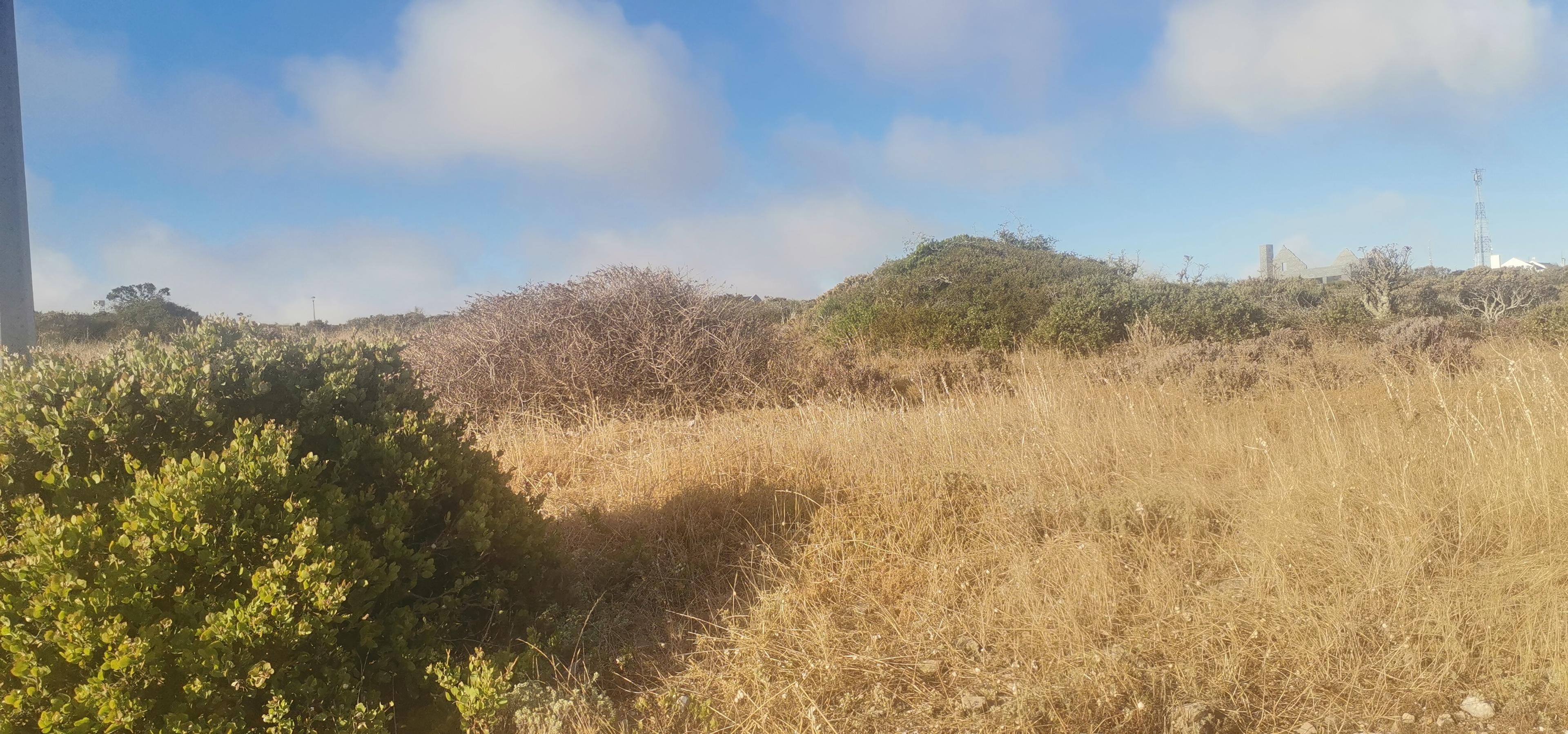 Image 3 of 6
