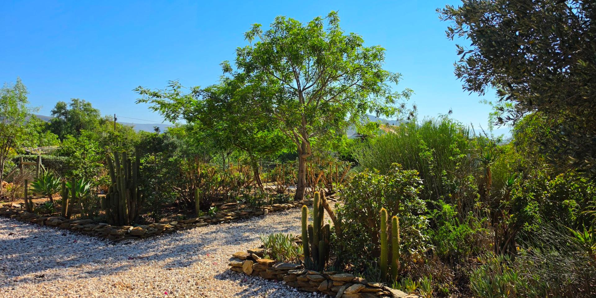 Image 4 of 6