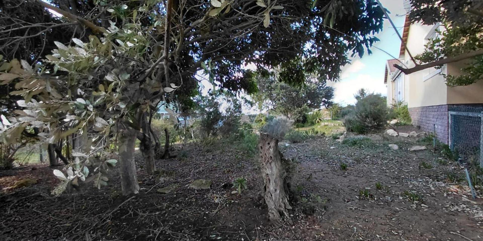 Image 3 of 6