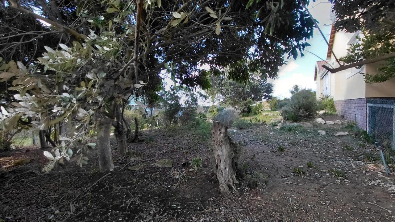 Image 3 of 6