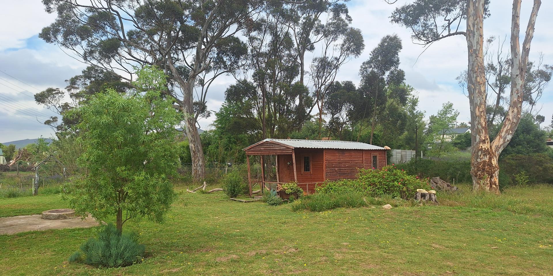 Image 2 of 6