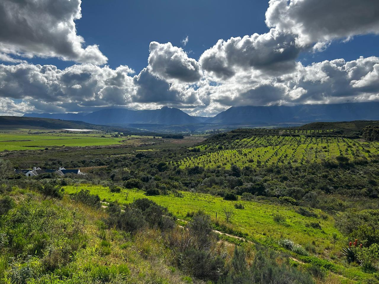 Image 10