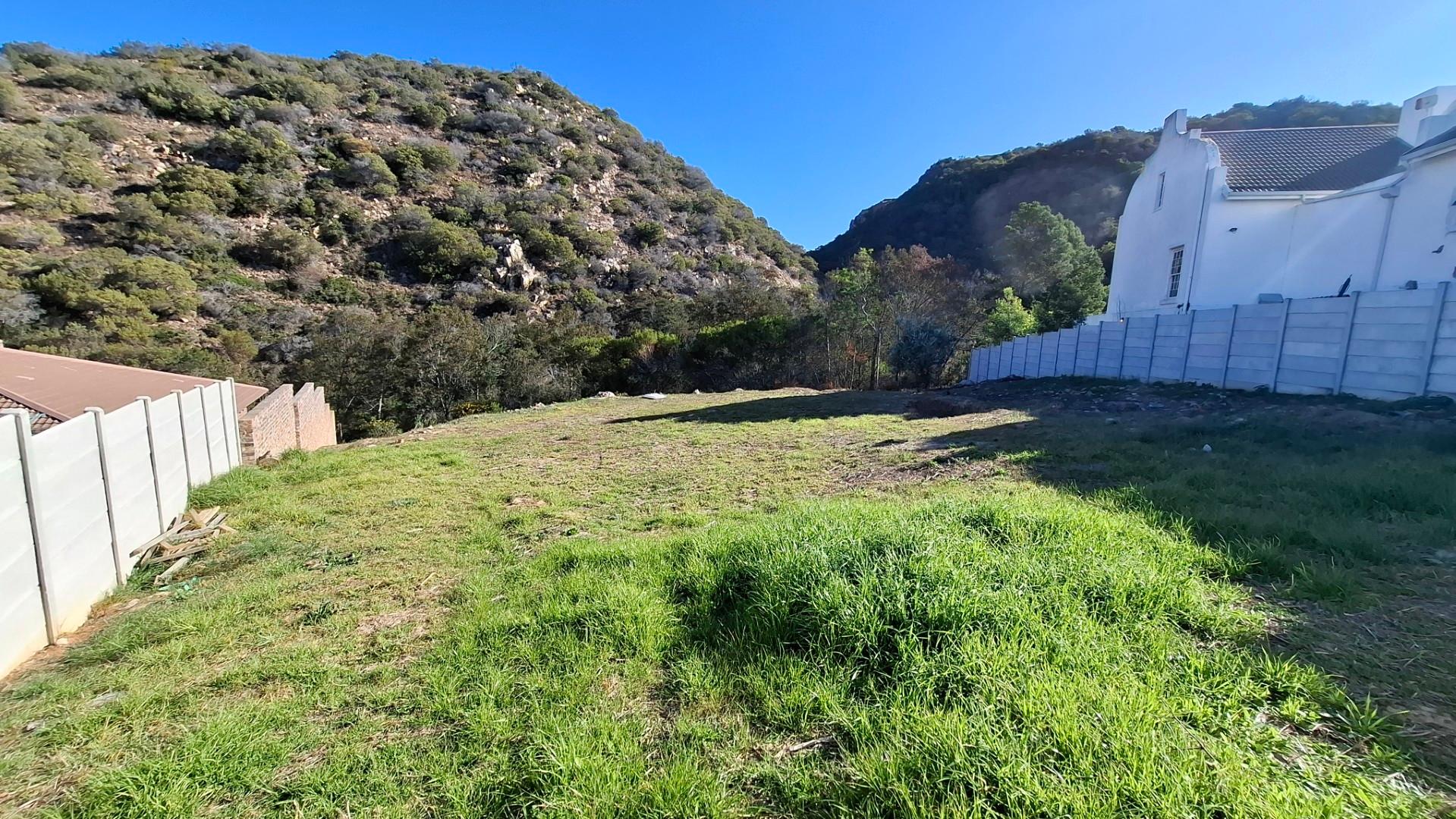 Image 3 of 6