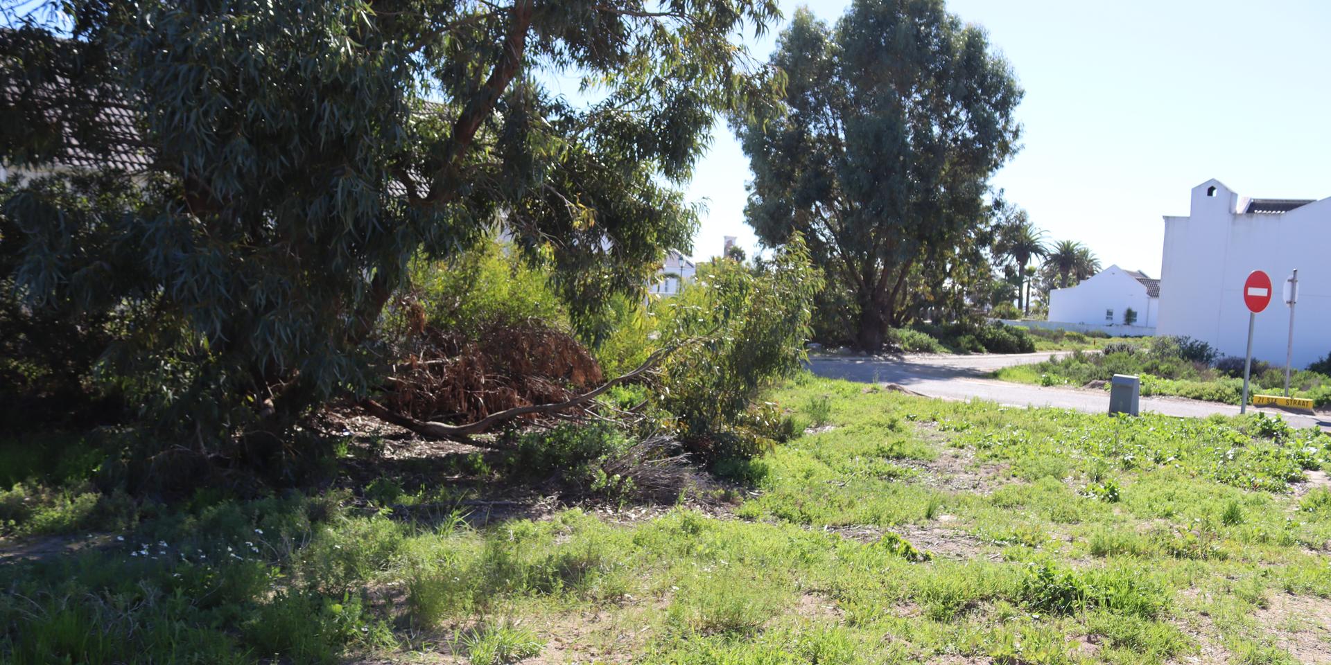 Image 4 of 6