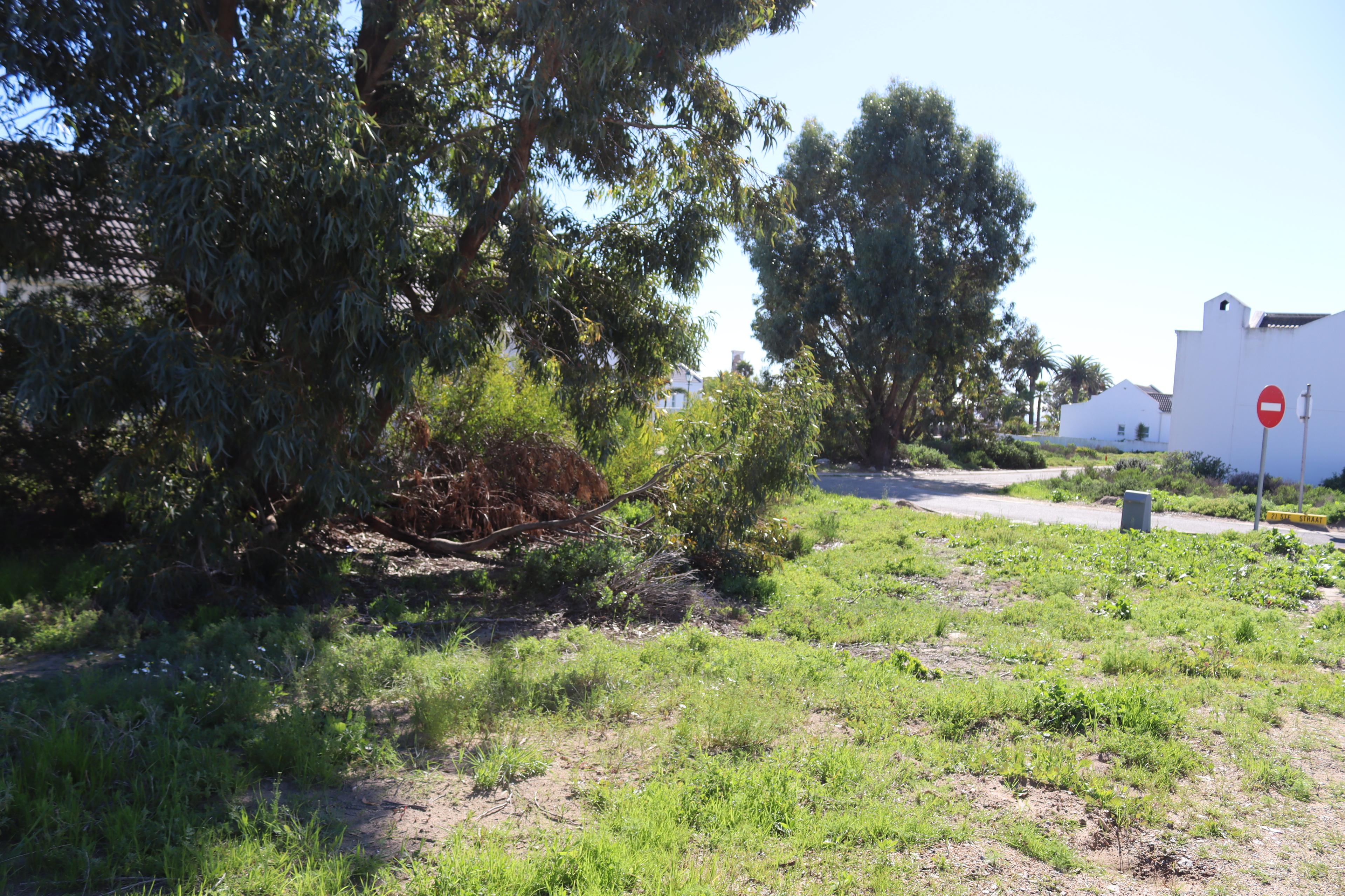 Image 4 of 6