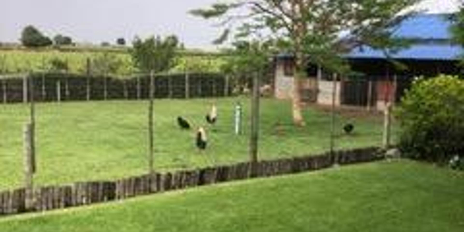 Image 3 of 6