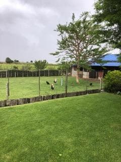 Image 3 of 6