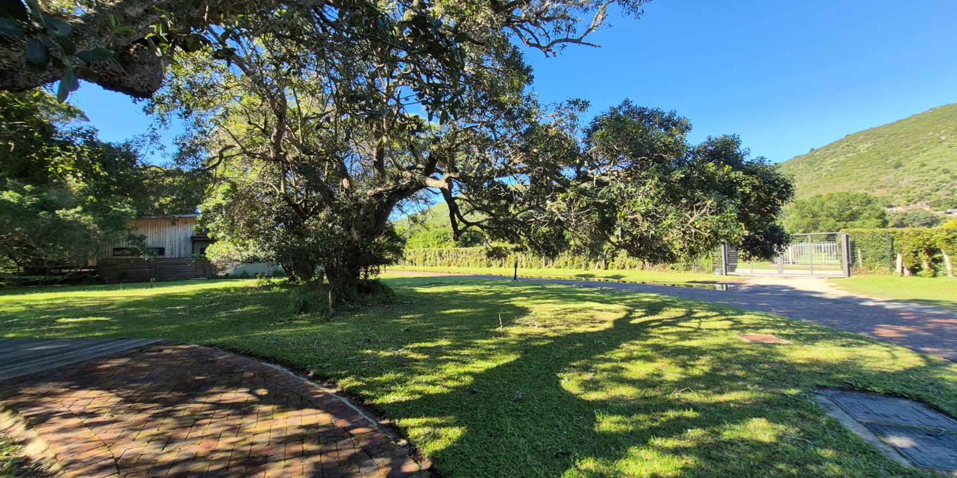 Image 2 of 6