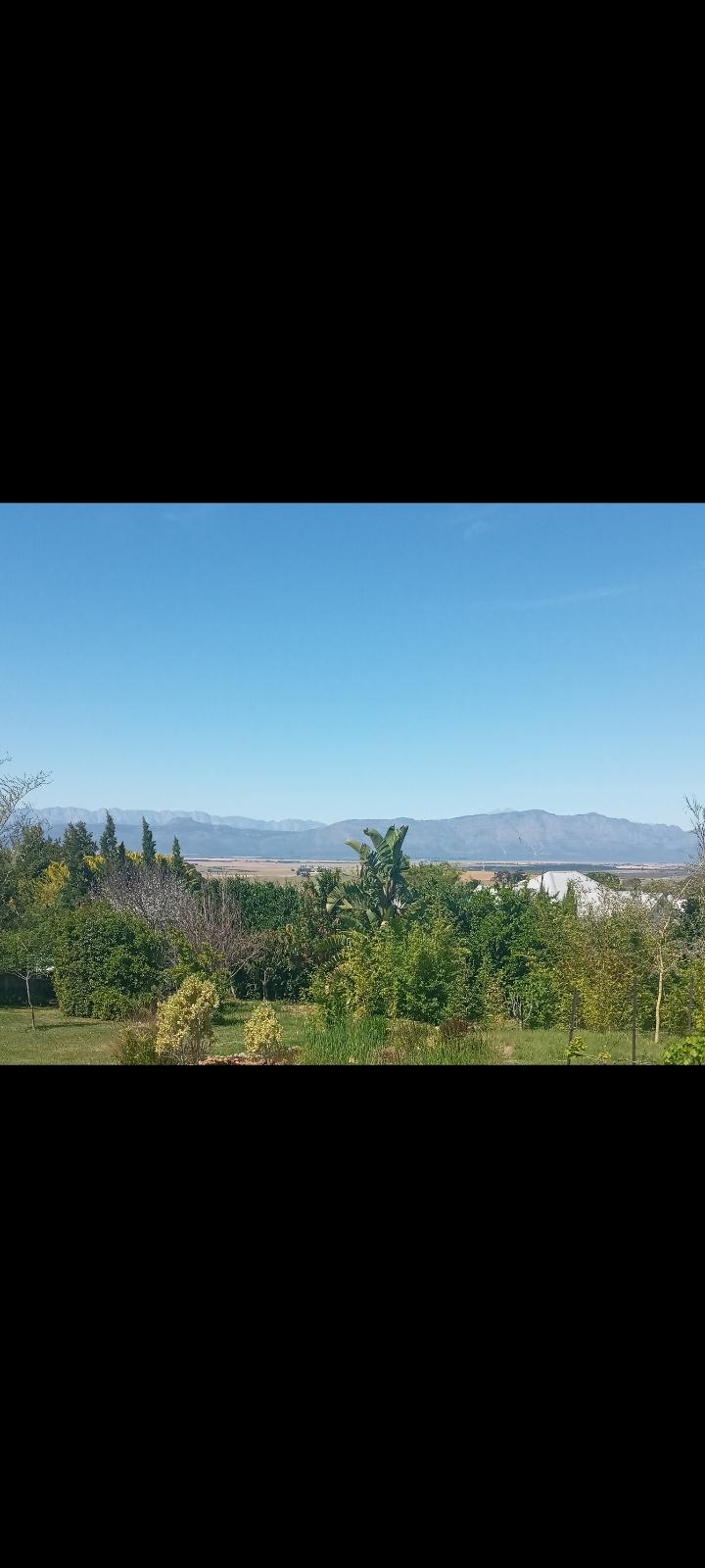 Image 4 of 6
