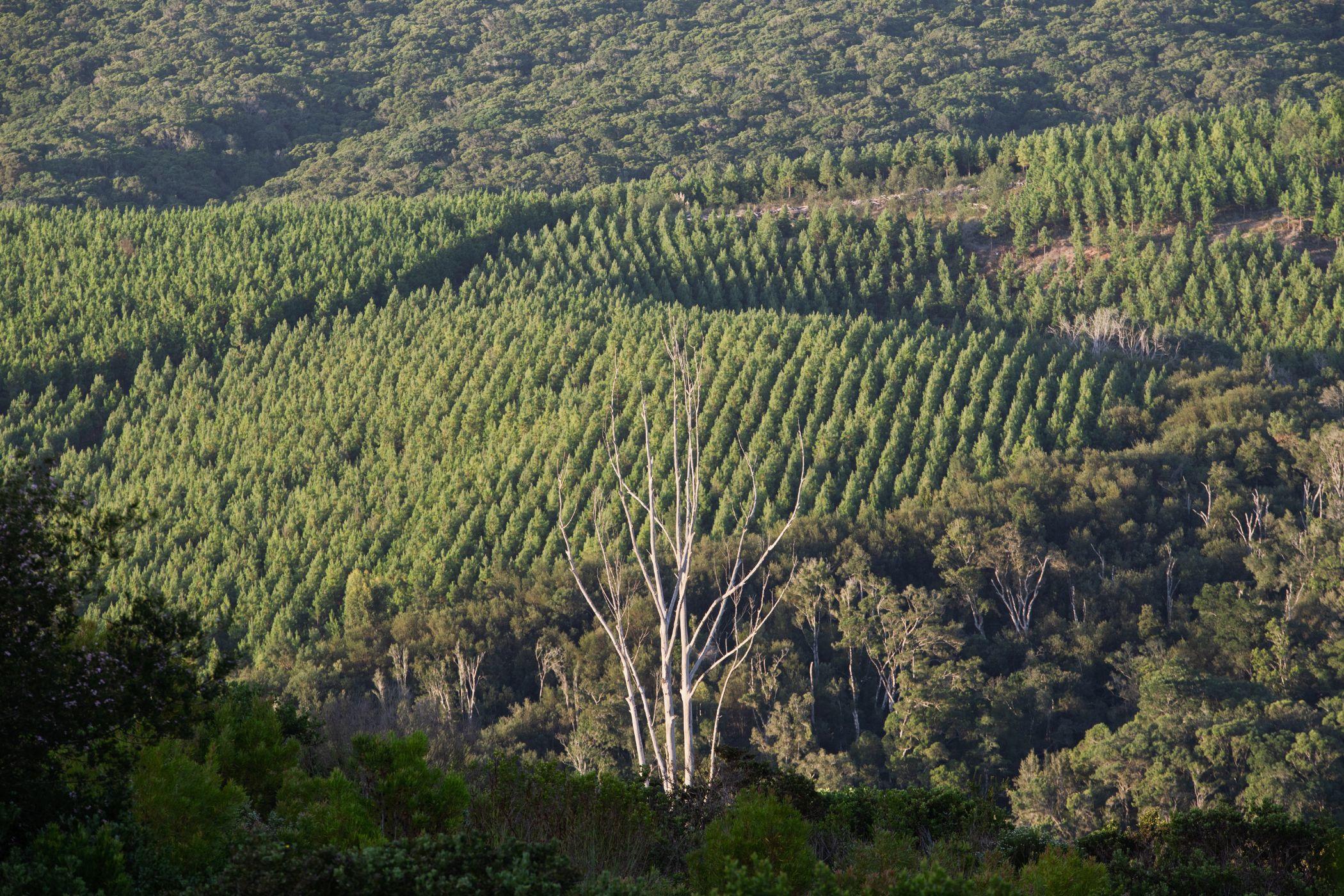 Image 15