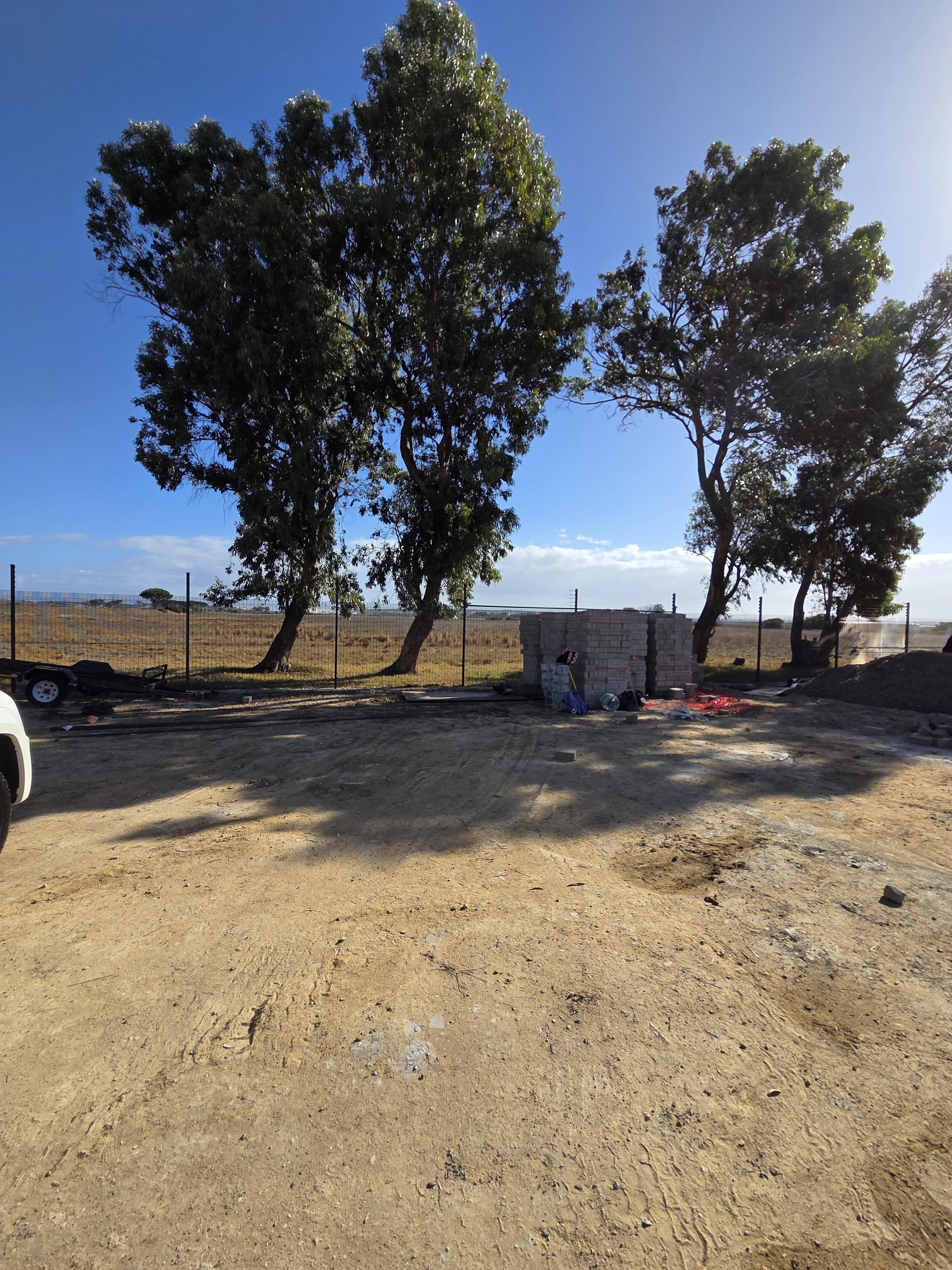 Image 2 of 6