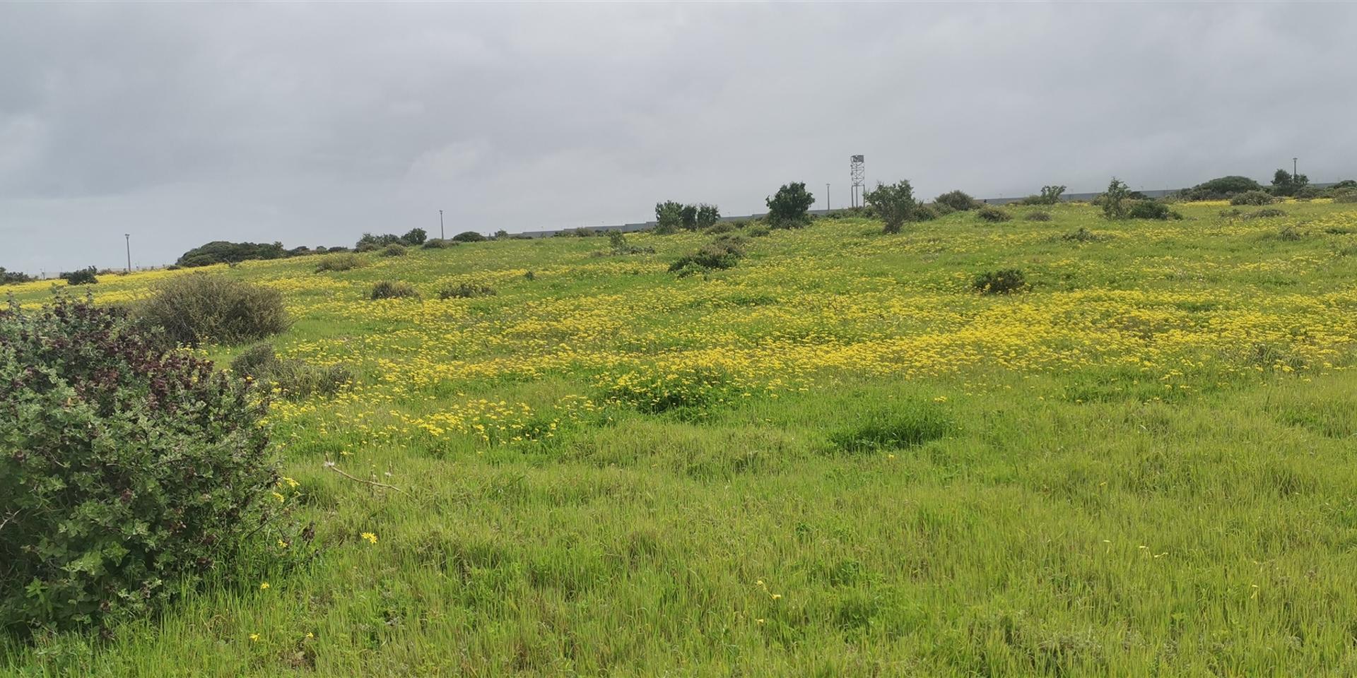 Image 4 of 6