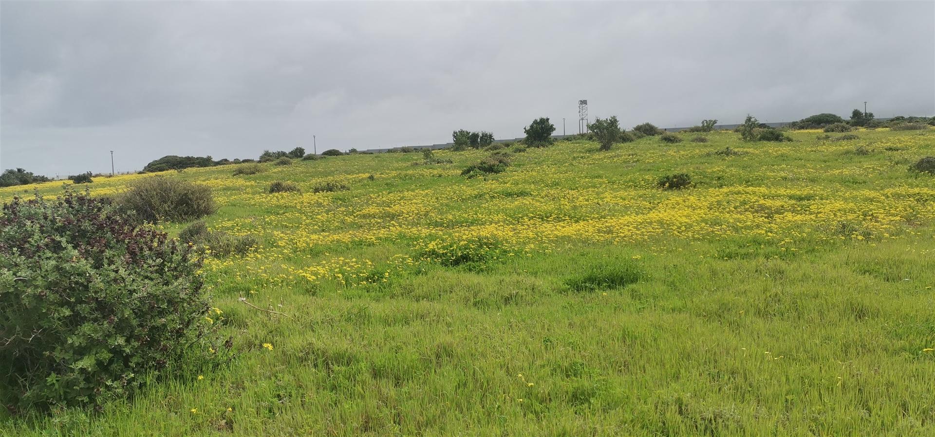 Image 4 of 6