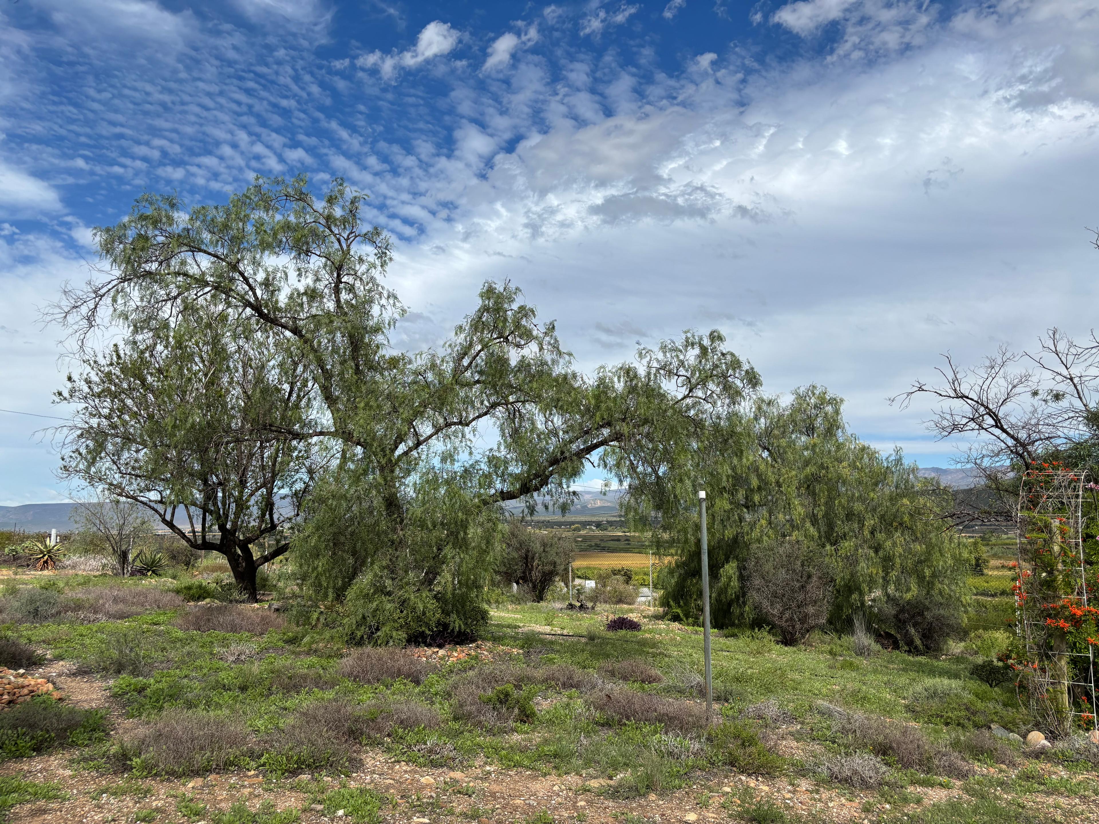 Image 38