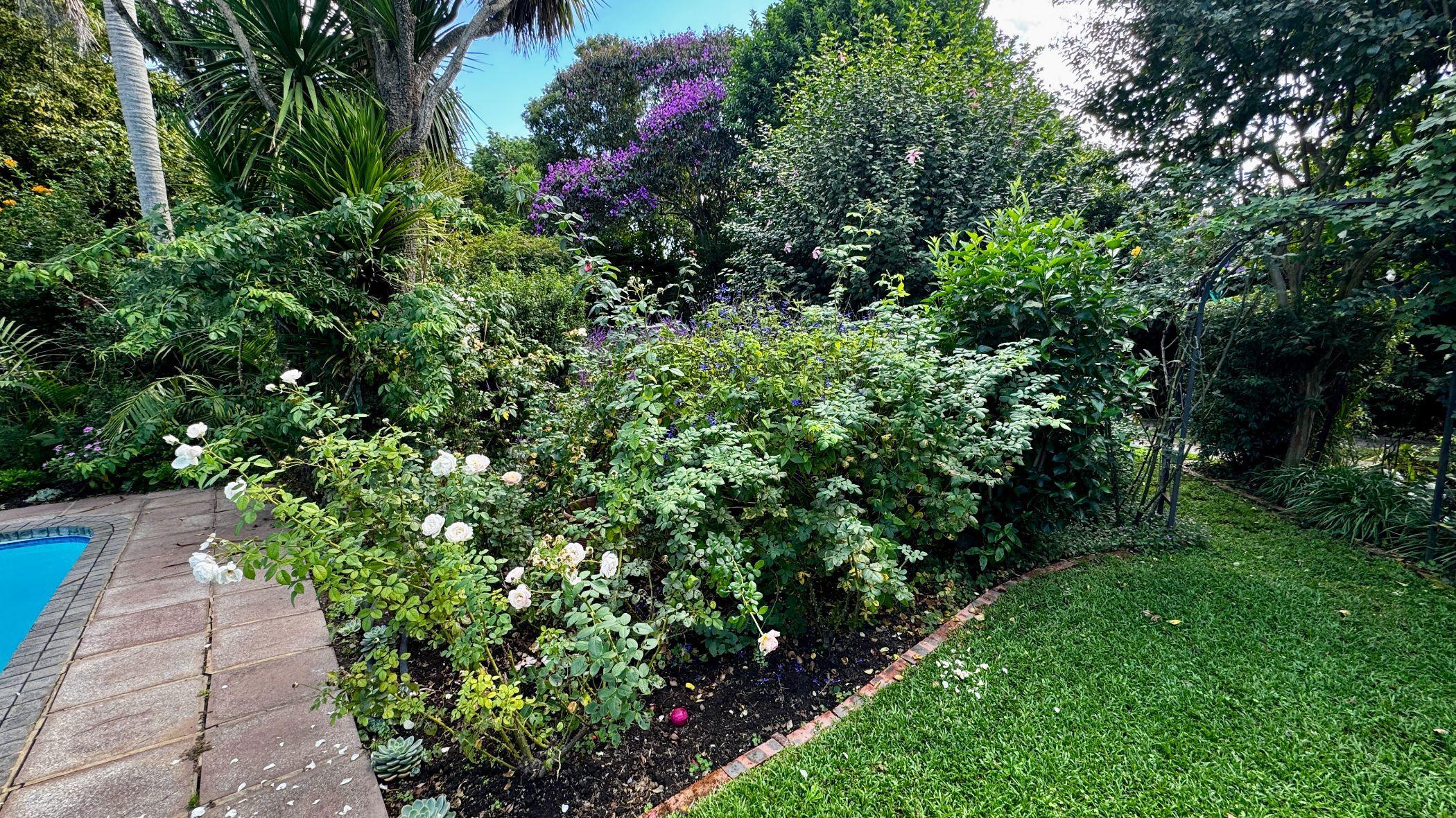 Image 69