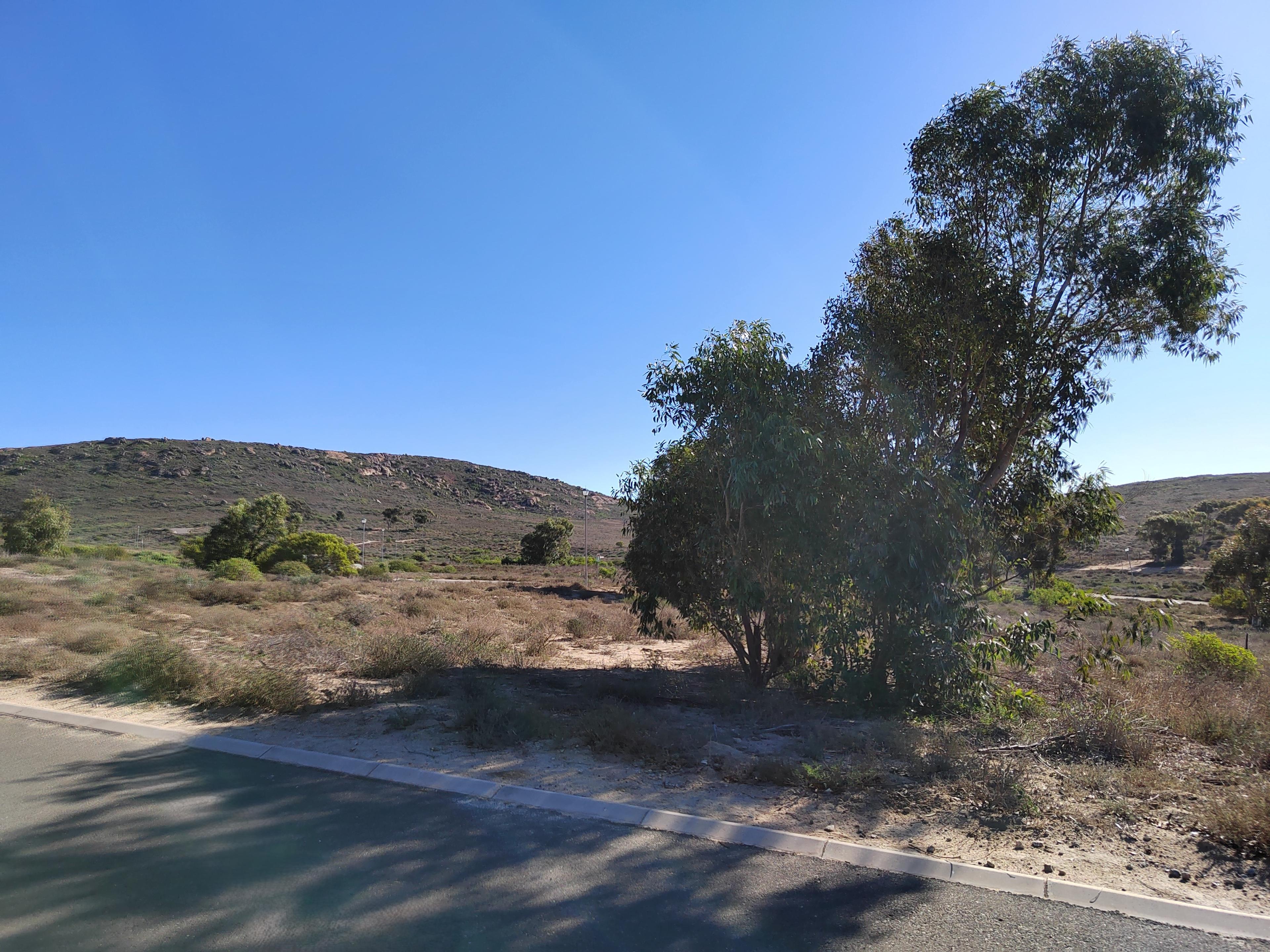 Image 10