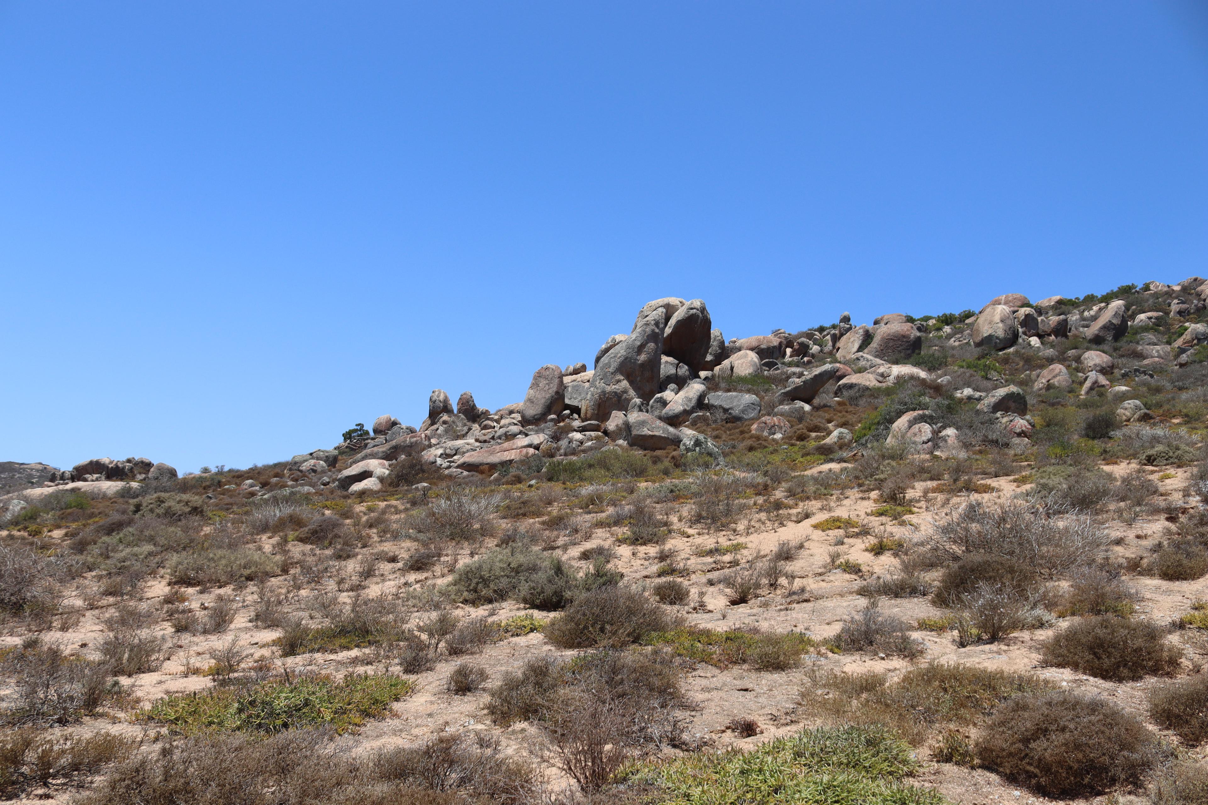 Image 9