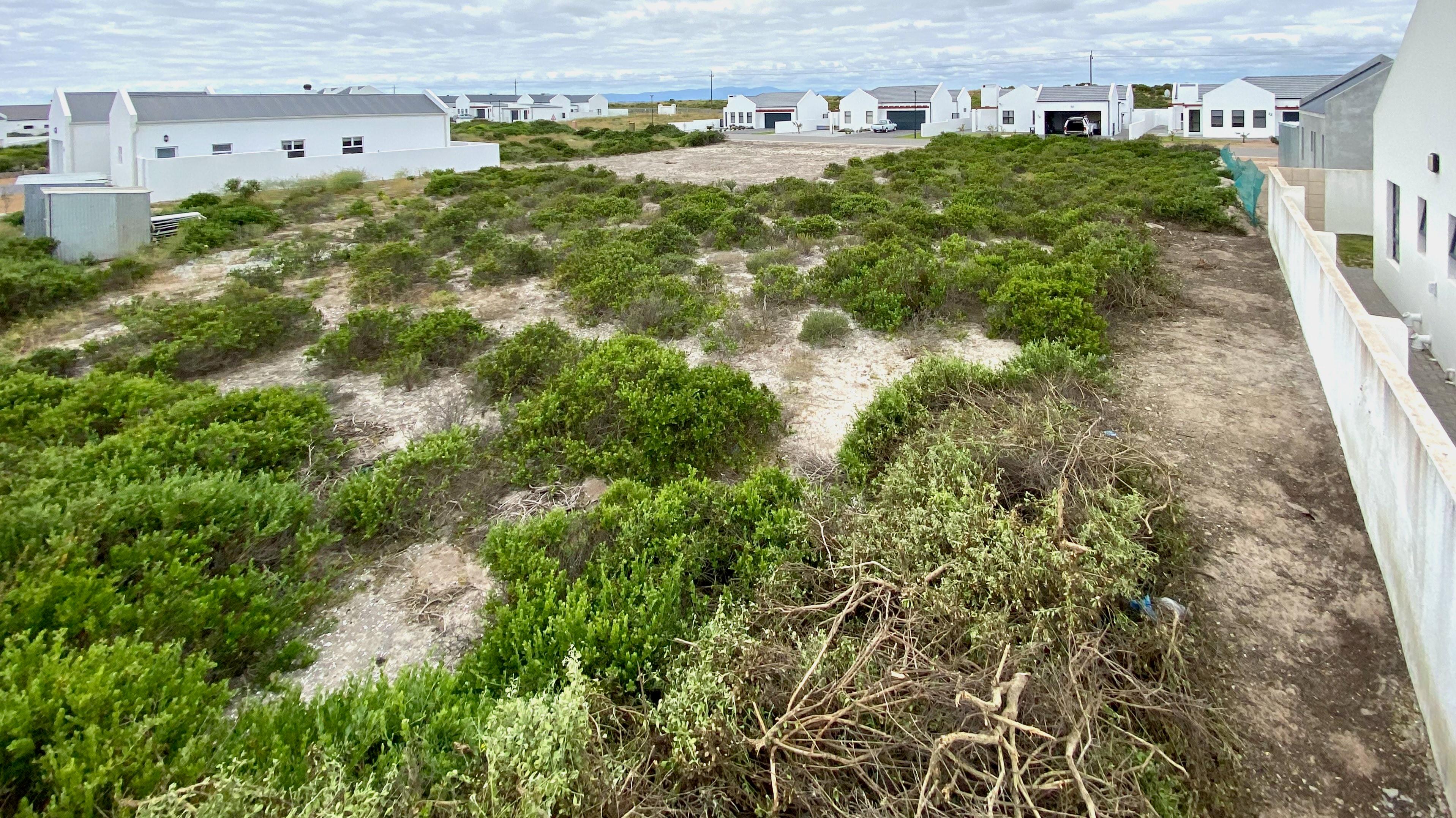 Image 15