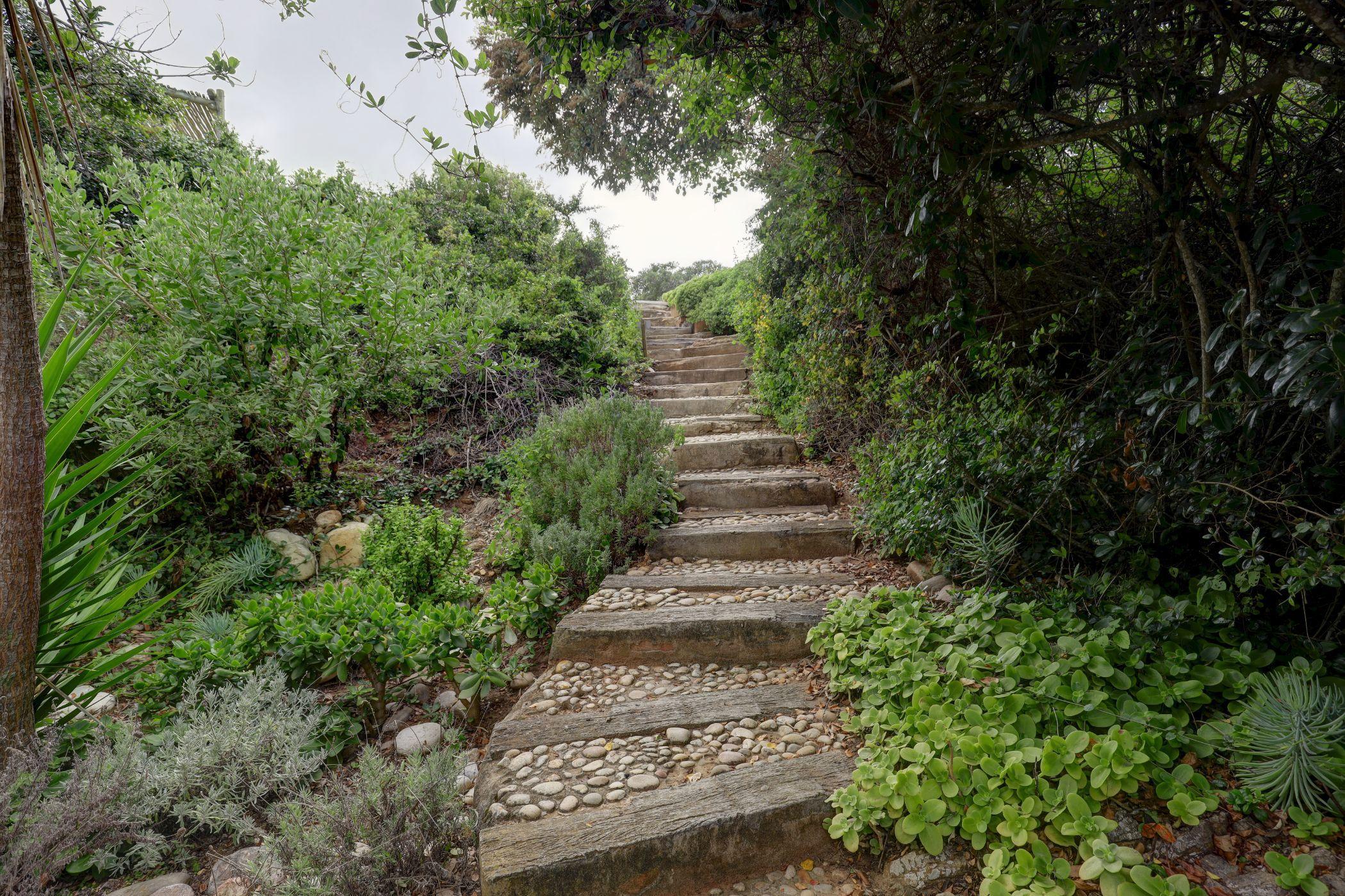 Image 34