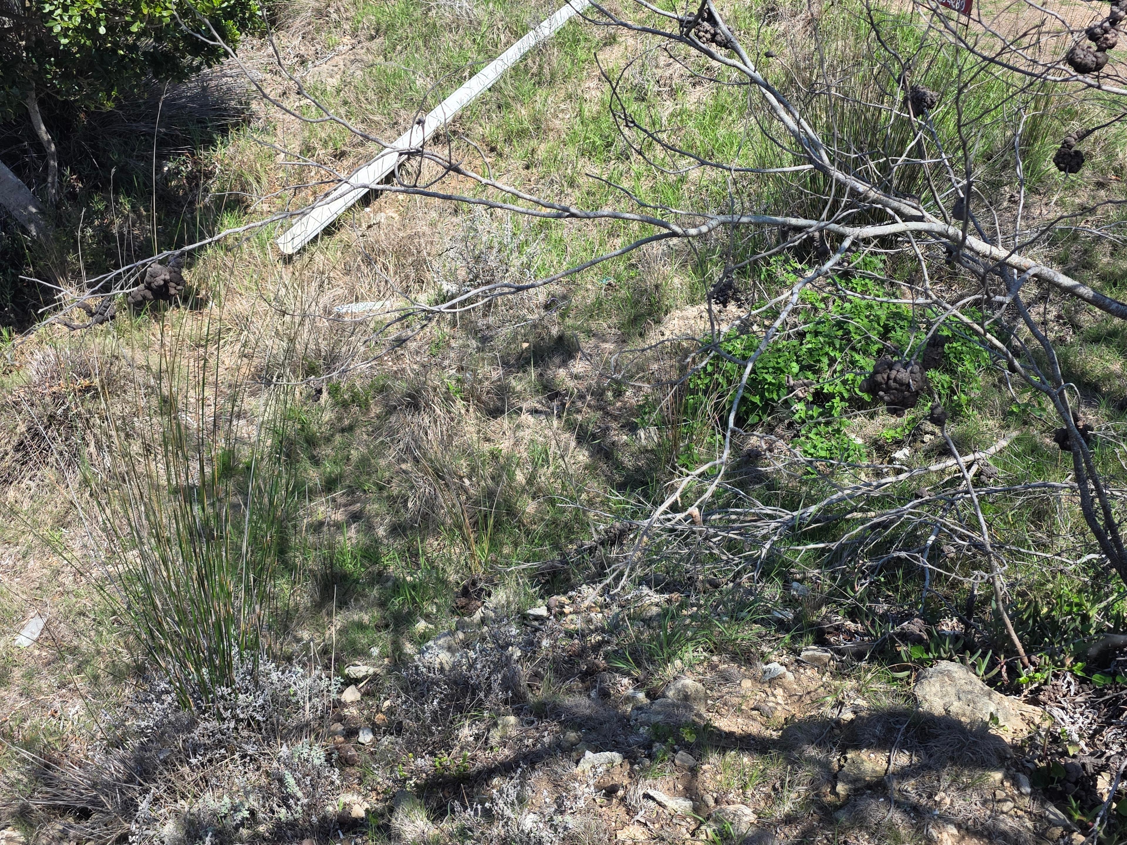 Image 9