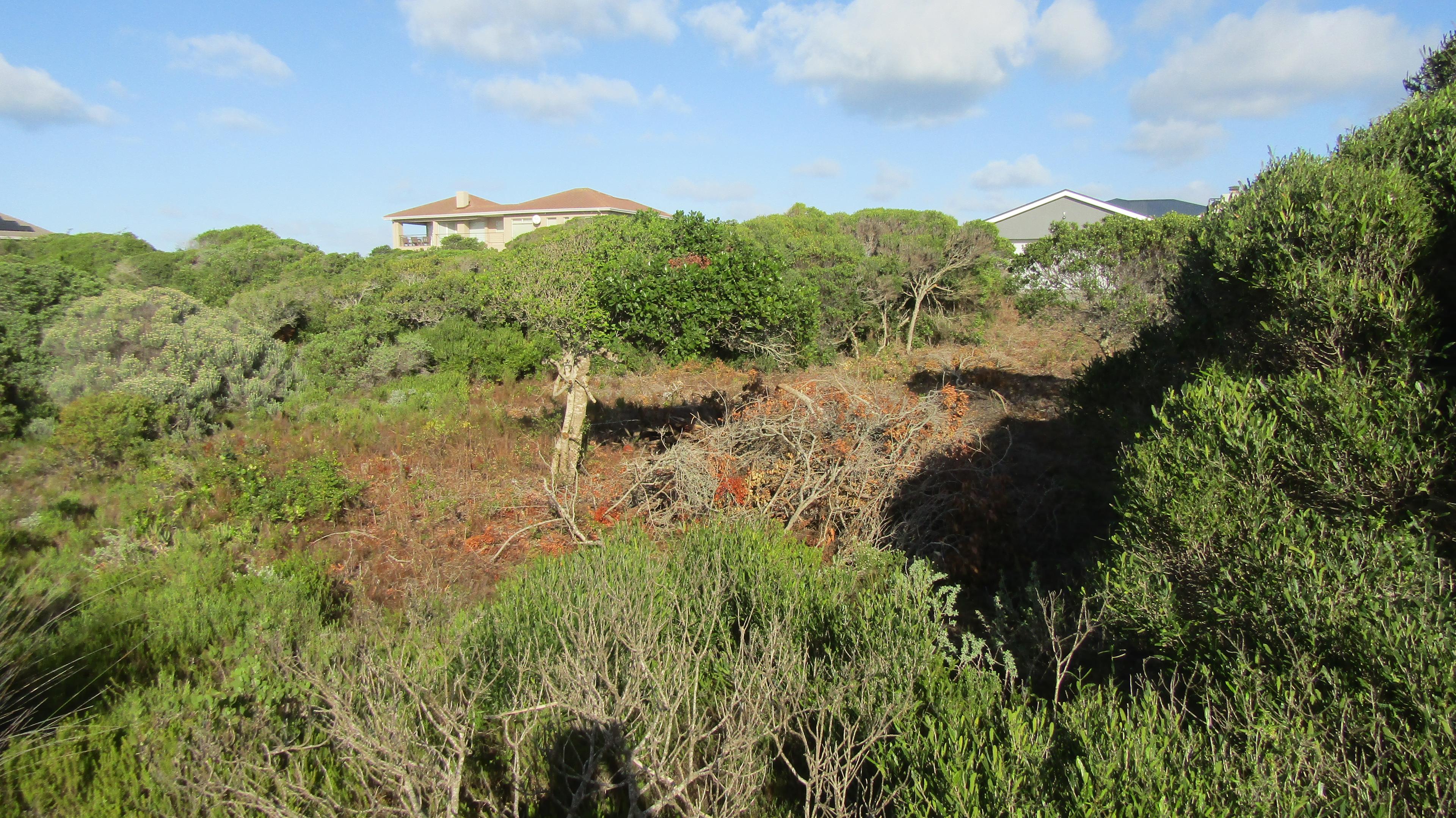 Image 5 of 6