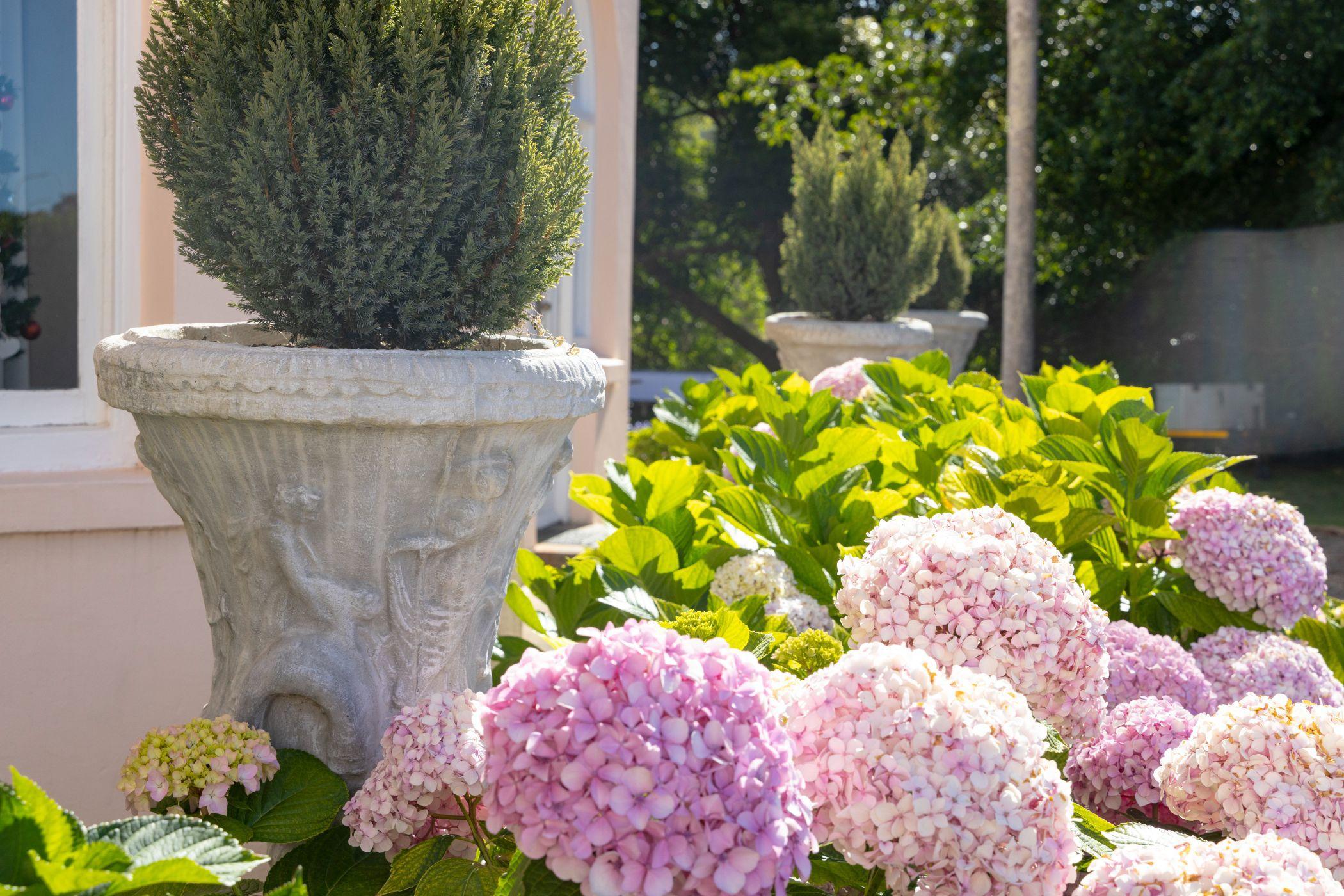 Image 95