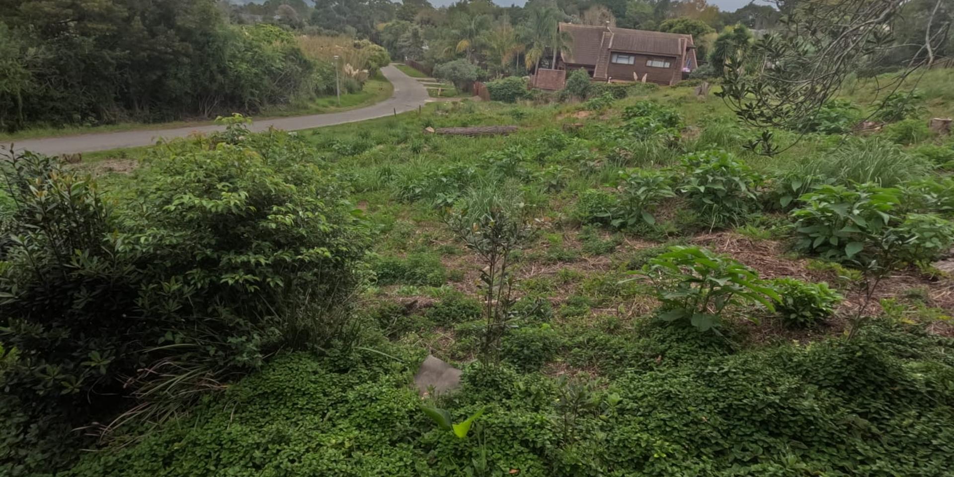 Image 4 of 6