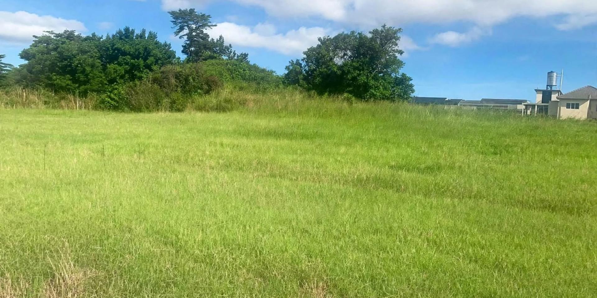Image 3 of 6