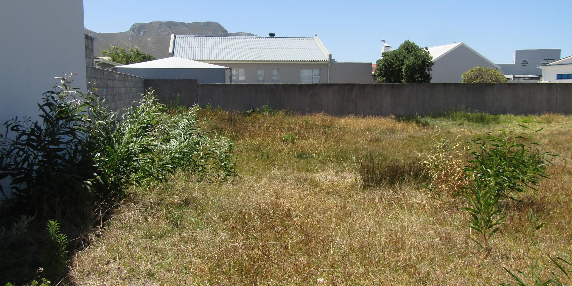 Image 5 of 6