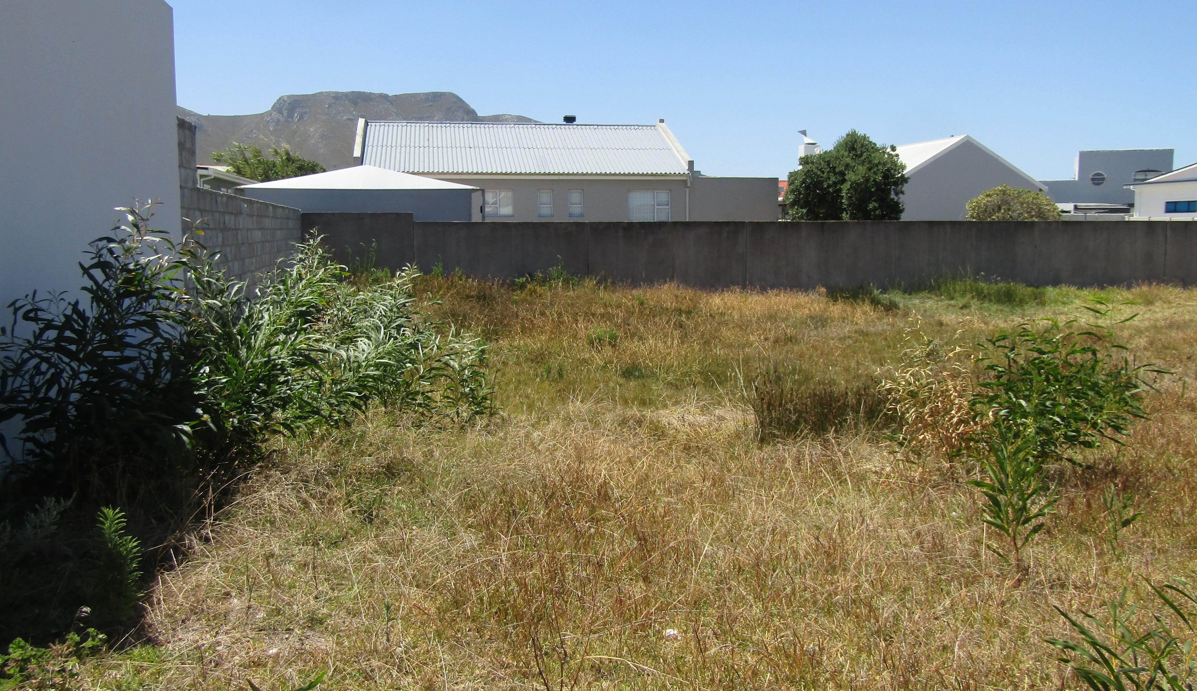 Image 5 of 6