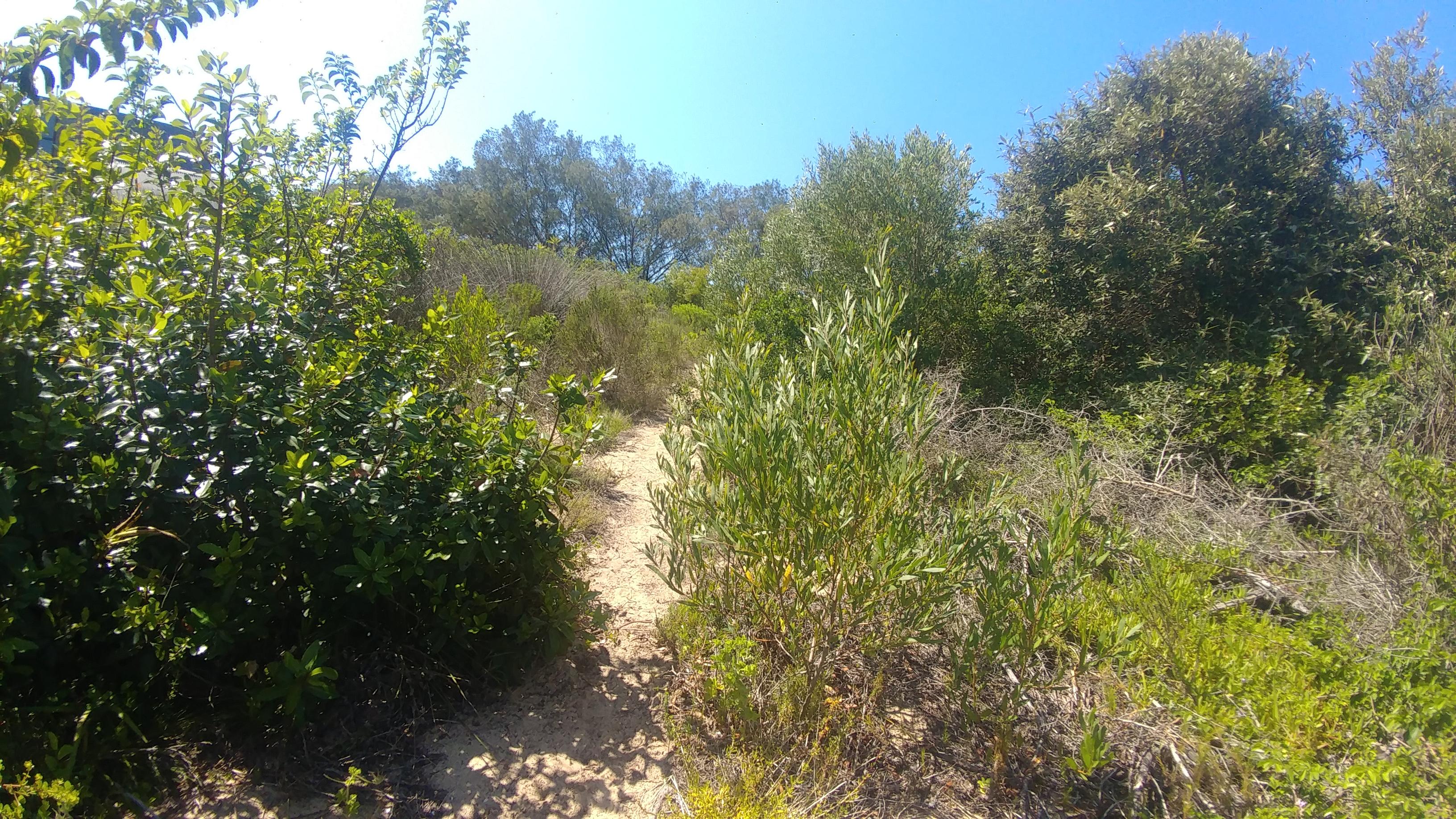 Image 10