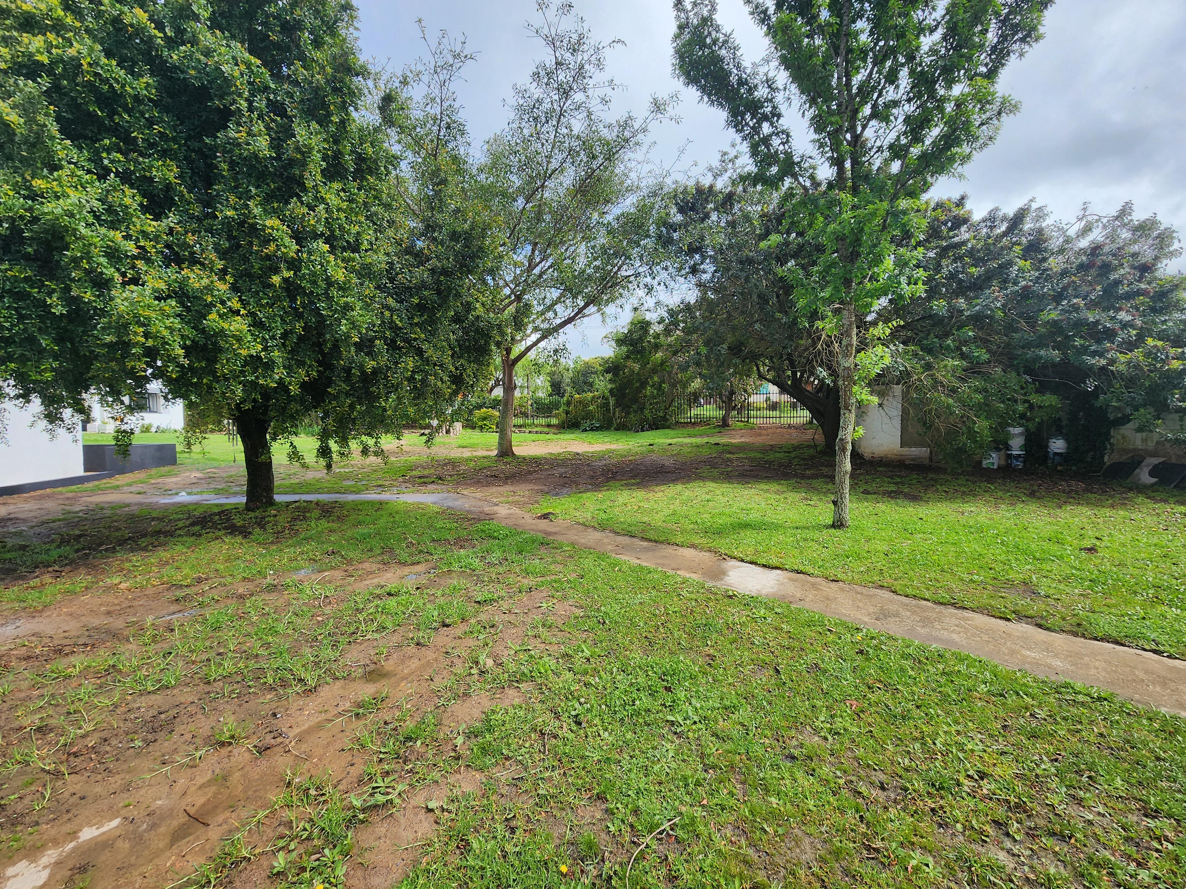Image 12
