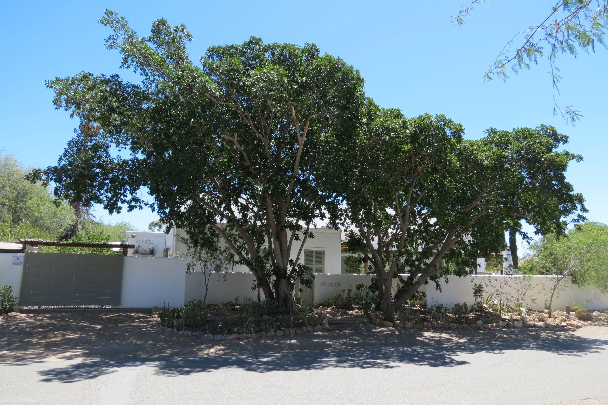 Image 3 of 6