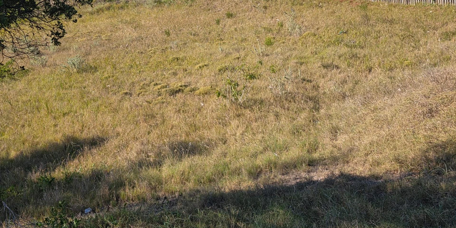 Image 5 of 6