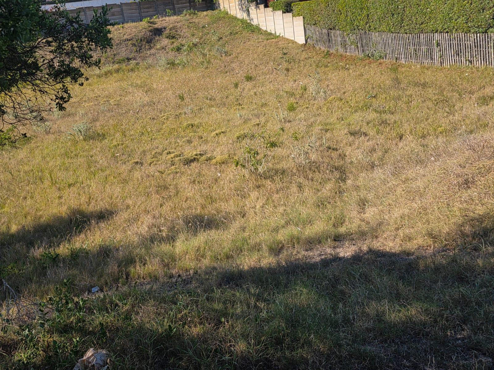 Image 5 of 6
